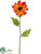 Rudbeckia Spray - Talisman - Pack of 12