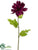 Rudbeckia Spray - Violet - Pack of 12