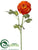 Ranunculus Spray - Orange - Pack of 12