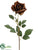 Rose Spray - Coffee - Pack of 12