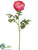 Double Ranunculus Spray - Rose - Pack of 12