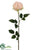 Rose Spray - Peach Soft - Pack of 12