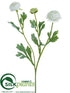 Silk Plants Direct Ranunculus Spray - White - Pack of 12