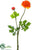 Ranunculus Spray - Orange - Pack of 12