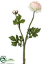 Silk Plants Direct Ranunculus Spray - Peach Cream - Pack of 12