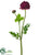 Silk Plants Direct Ranunculus Spray - Boysenberry - Pack of 12