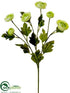 Silk Plants Direct Ranunculus Spray - Lime - Pack of 12