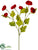 Ranunculus Spray - Red - Pack of 12