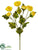 Ranunculus Spray - Yellow - Pack of 12