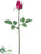 Rose Bud Spray - Boysenberry - Pack of 12