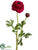 Ranunculus Spray - Wine - Pack of 12