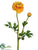 Ranunculus Spray - Yellow - Pack of 12