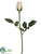 Rose Bud Spray - Cream Green - Pack of 12