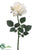 Rose Spray - White - Pack of 12