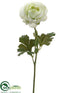 Silk Plants Direct Ranunculus Spray - Cream Green - Pack of 12