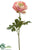 Ranunculus Spray - Pink - Pack of 12