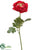 Ranunculus Spray - Rose - Pack of 12