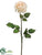 Paper Rose Spray - Cream - Pack of 12