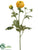 Ranunculus Spray - Yellow - Pack of 12