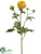 Ranunculus Spray - Yellow - Pack of 12