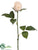 Rose Bud Spray - Beige - Pack of 12