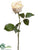 Rose Bud Spray - Beige - Pack of 12