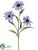 Rudbeckia Spray - Blue Helio - Pack of 12