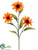 Rudbeckia Spray - Orange - Pack of 12