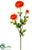 Ranunculus Spray - Coral - Pack of 12