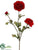 Ranunculus Spray - Flame Brick - Pack of 12