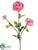 Ranunculus Spray - Lilac Two Tone - Pack of 12