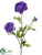 Ranunculus Spray - Purple - Pack of 12