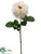 Rose Spray - White - Pack of 12