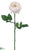 Rose Spray - White - Pack of 12