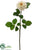 Rose Spray - Cream Green - Pack of 12