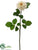 Rose Spray - Cream Green - Pack of 12