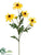 Rudbeckia Spray - Yellow - Pack of 12