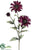 Rudbeckia Spray - Eggplant - Pack of 12