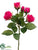 Rose Spray - Beauty - Pack of 12