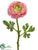 Ranunculus Spray - Pink Green - Pack of 12