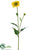 Rudbeckia Spray - Yellow - Pack of 12