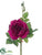 Rose Spray - Boysenberry - Pack of 24