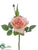 Rose Spray - Cerise Cream - Pack of 24