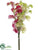 Sweet Pea Bundle - Pink Green - Pack of 12