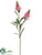 Snapdragon Spray - Pink Cerise - Pack of 12