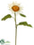 Sunflower Spray - White - Pack of 12