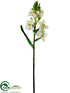 Silk Plants Direct Star of Bethlehem Spray - White - Pack of 12