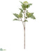 Silk Plants Direct Sorbus Spray - Cream Green - Pack of 12