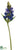 Star of Bethlehem Spray - Blue - Pack of 24