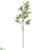 Sorbus Spray - Cream Green - Pack of 12